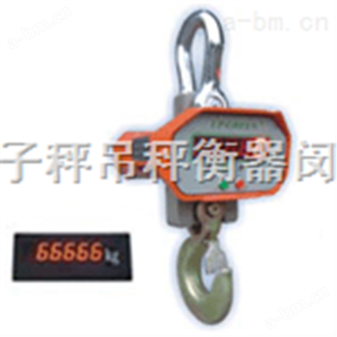 UPW5000A-3T吊秤，上海电子吊秤，奥达电子吊秤，上海奥达电子吊秤，电子吊秤，吊秤